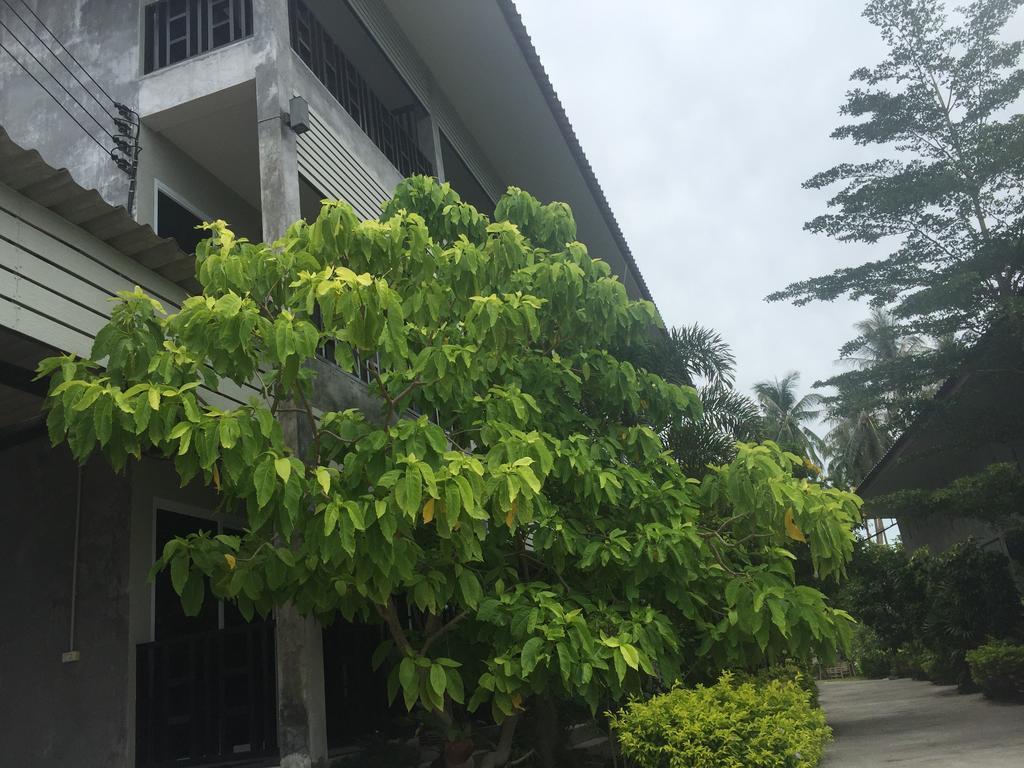 Baan Suan Ta Hotel Ko Tao Exterior photo